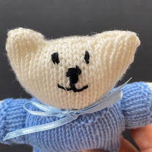 Load image into Gallery viewer, Soft Toy - Blue Ted
